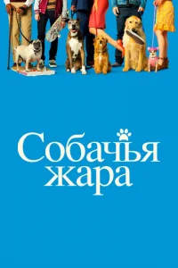 C010c9ojkchcbu ldokvju