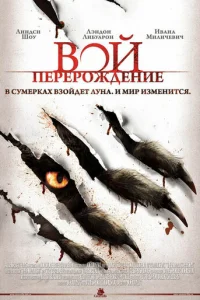 Коллектор