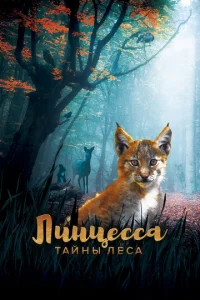 l1lukvjttseссojk. Tojkil1kvjӹ vnleсojk