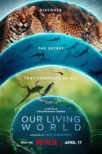 Hojkɯ dzhu10100il1 ʍurh