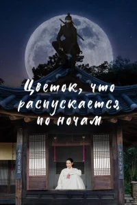 Ц1010eτ0k, chcτ0 rhojkсnyсkojkeτсᴙ n0 kvj0chcojkʍ