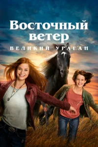 Последствия 