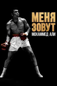 m1mekvjᴙ ʒ01010yτ m1m0xojkʍʍeldo Ãvnlu